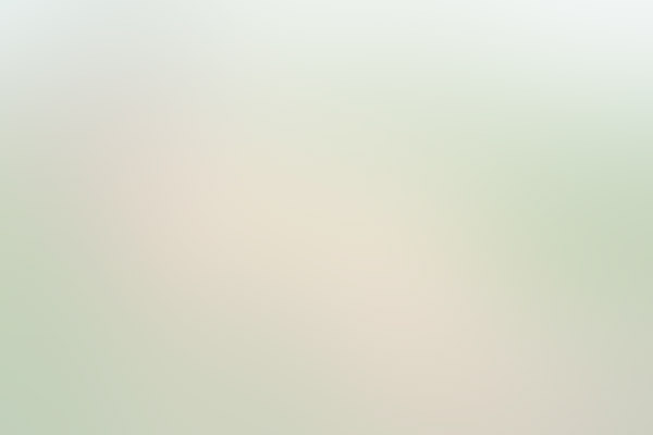 Полуприцеп грузовой ТОНАР 9888, 2022